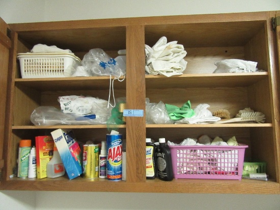 CONTENTS OF CABINETS INCLUDING CLEANERS, RAGS, AND OTHER