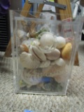 PLASTIC BOX OF SHELLS