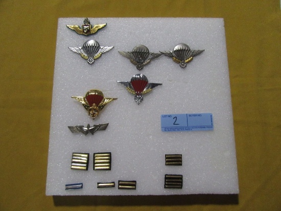 VIETNAM PARATROOPER PINS AND STRIPED PINS