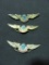 3 KQNDVN PINS WITH WINGS