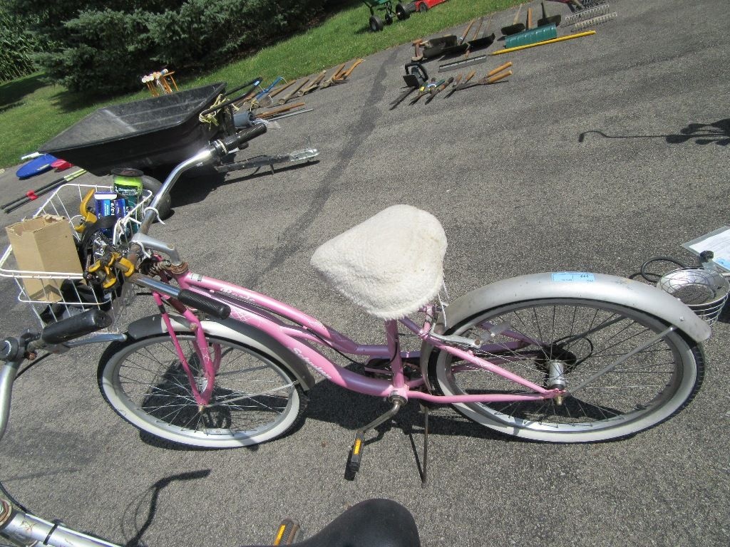 schwinn roxie