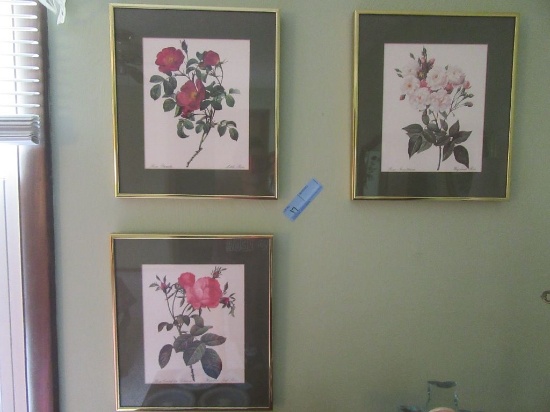 3 PRINTS - LITTLE ROSE. HUNDRED LEAF ROSE. HAZELNUT ROSE