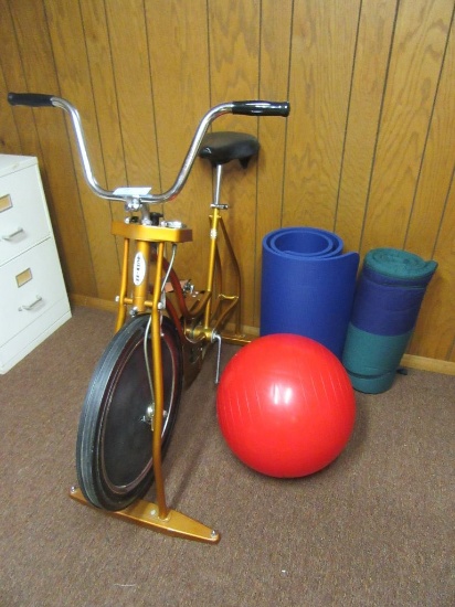 SCHWINN EXERCISE BIKE, MATS, AND BALL