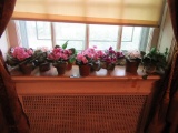 ARTIFICIAL AFRICAN VIOLETS