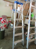 WERNER 6' LADDER