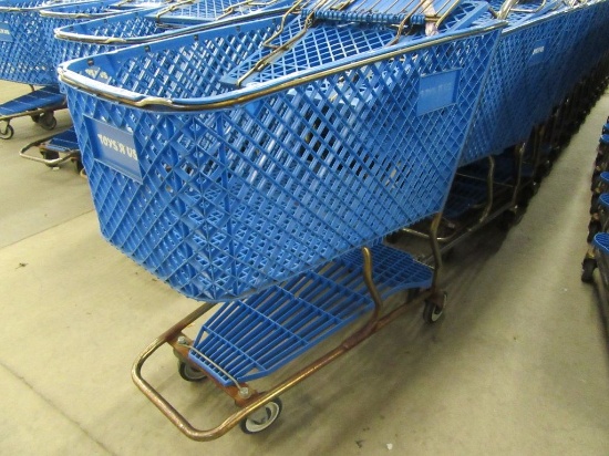 LOT 16 SHOPPING CARTS