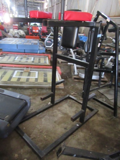 DIP AND LEG LIFT STAND