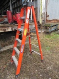 WERNER 6' LADDER