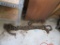 TWO SECTIONS OF CHAIN. EACH CHAIN HAS ONE HOOK.