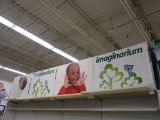 ALL IMAGINARIUM SIGNAGE INCLUDING MIDDLE SHELVING ON TOP ONLY