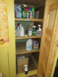 CLEANING ITEMS AND SUPPLIES IN CLOSET