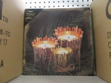 1 CASE (12 PIECES) OF LIGHTED TWIG CANDLE CANVAS