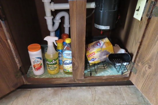 CLEANING ITEMS AND ETC UNDER SINK