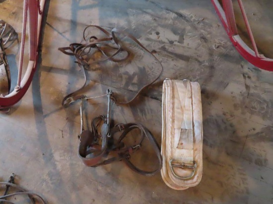 leather horse tack with strap