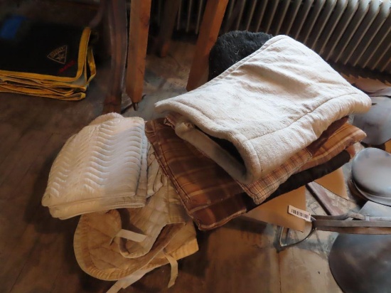 variety of horse blankets