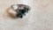 five green stone ring, marked Sterling