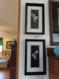 two black and white Calla Lily framed prints
