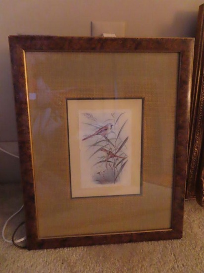 beautifully framed bird picture