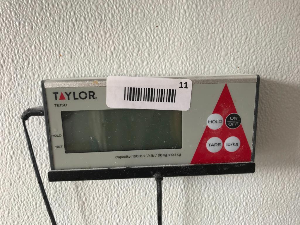 Taylor TE150 Receiving Scale, Digital, 150 lb