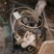 Lot of copper wire and etc