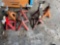Assorted jack stands