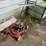 Sycamore lawn mower