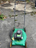 Weed eater 300 series push mower