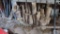 Lot of firewood