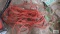 Heavy duty orange extension cord