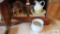 Lot of colored stemware, straw dispenser, spongeware pie plate, stein, and etc in bottom of cabinet