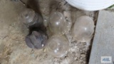 Antique insulators and glass planters