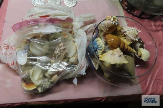Assorted seashells with glass bowl