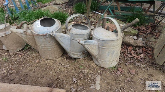 Three vintage watering cans with hand tools