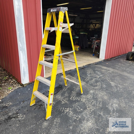 Davidson 6 ft fiberglass step ladder