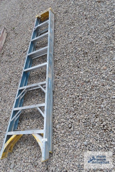 Werner 8 ft fiberglass step ladder