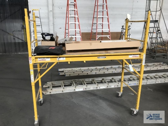 WERNER SCAFFOLD