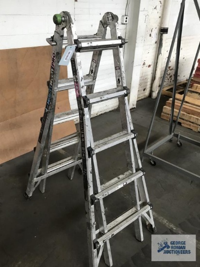 MULTI LADDER