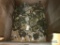SCRAP METAL