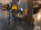 ENCO 12 SPEED DRILL PRESS