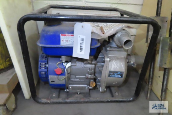 PACIFIC PORTABLE WATER PUMP