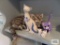 Variety of cat figurines