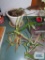 Two live plants