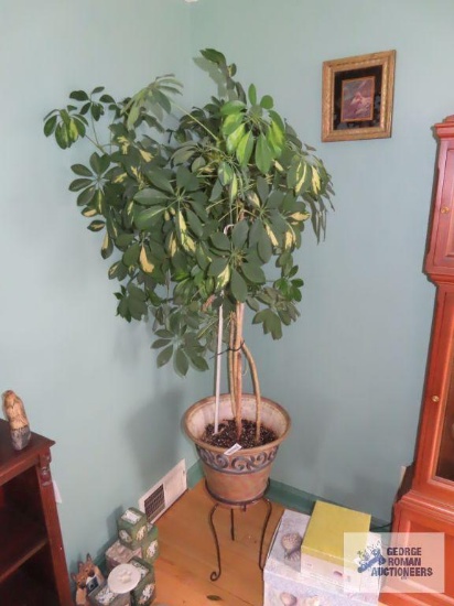 Live plant with plastic planter on metal plant stand