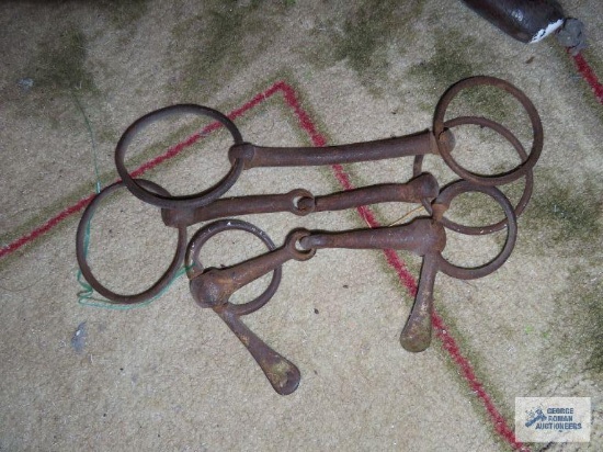 Horse bits