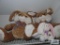 Stuffed animals