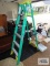 Werner 6 ft ladder