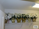White poinsettias in pots