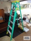 Werner 6 ft ladder