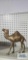 Brass camel