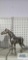 Metal horse figurine